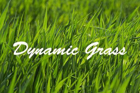 Dynamic Grass démo